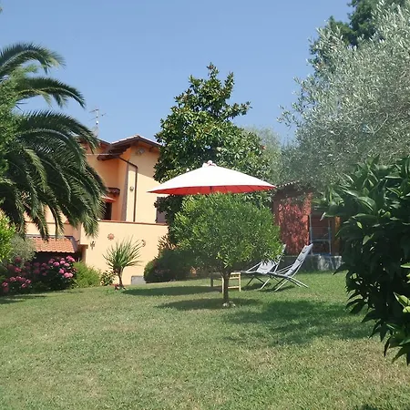 Colline Di Luni